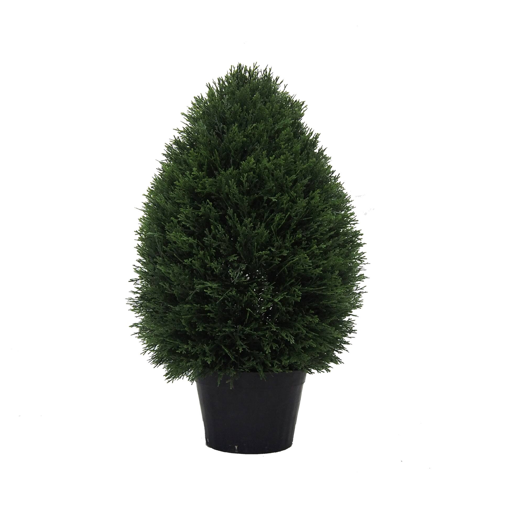 2ft. Potted Cedar Teardrop Shaped Bush